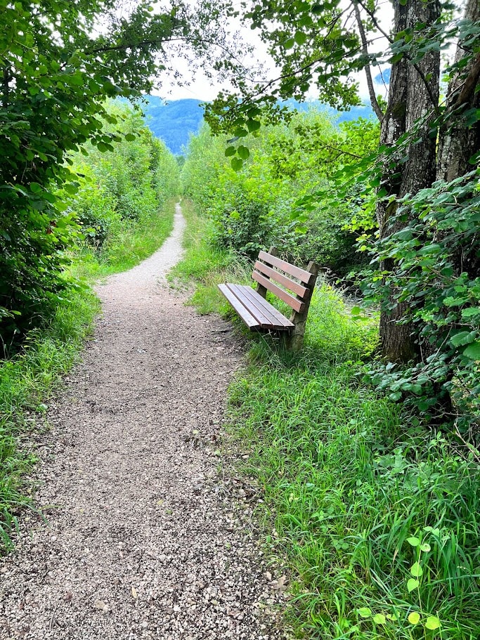 A wooden bench tucked into lush greenery on an Austrian hiking trail, mountains behind