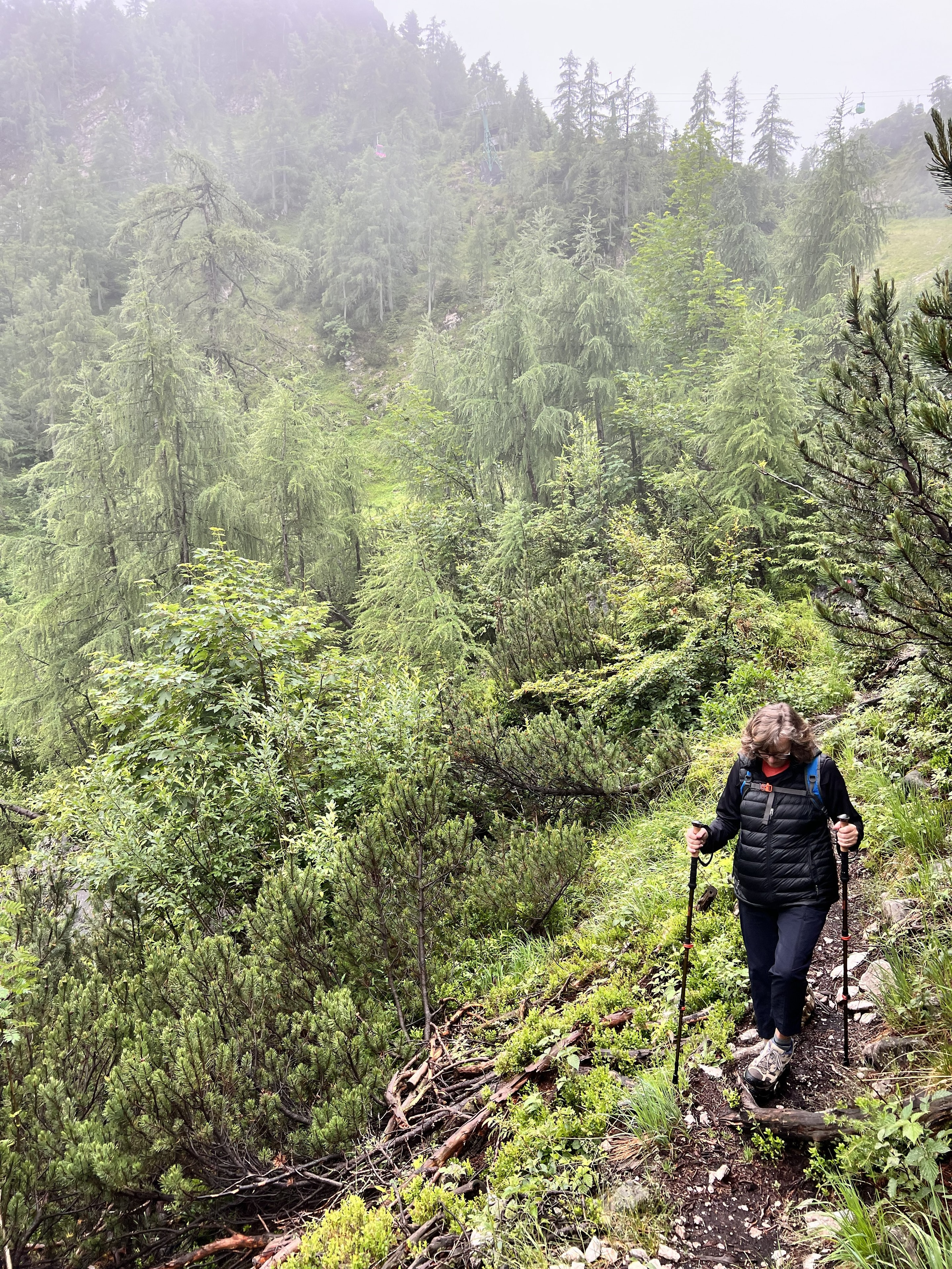 Cheryl on a misty mountain trail on Mount Katrin
