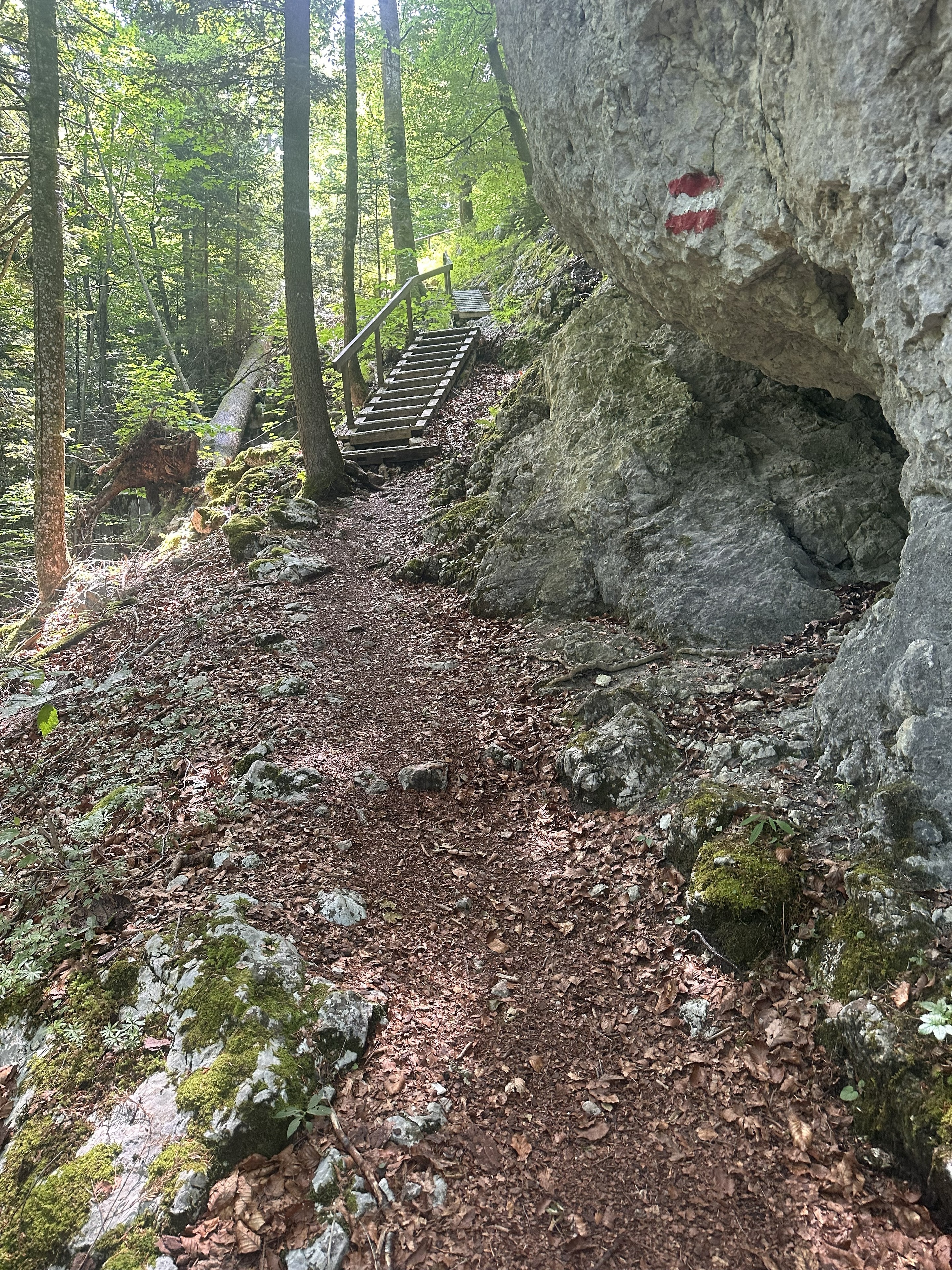 Rocky forest trail with wooden stairs and Austrian red-and-white trail markers