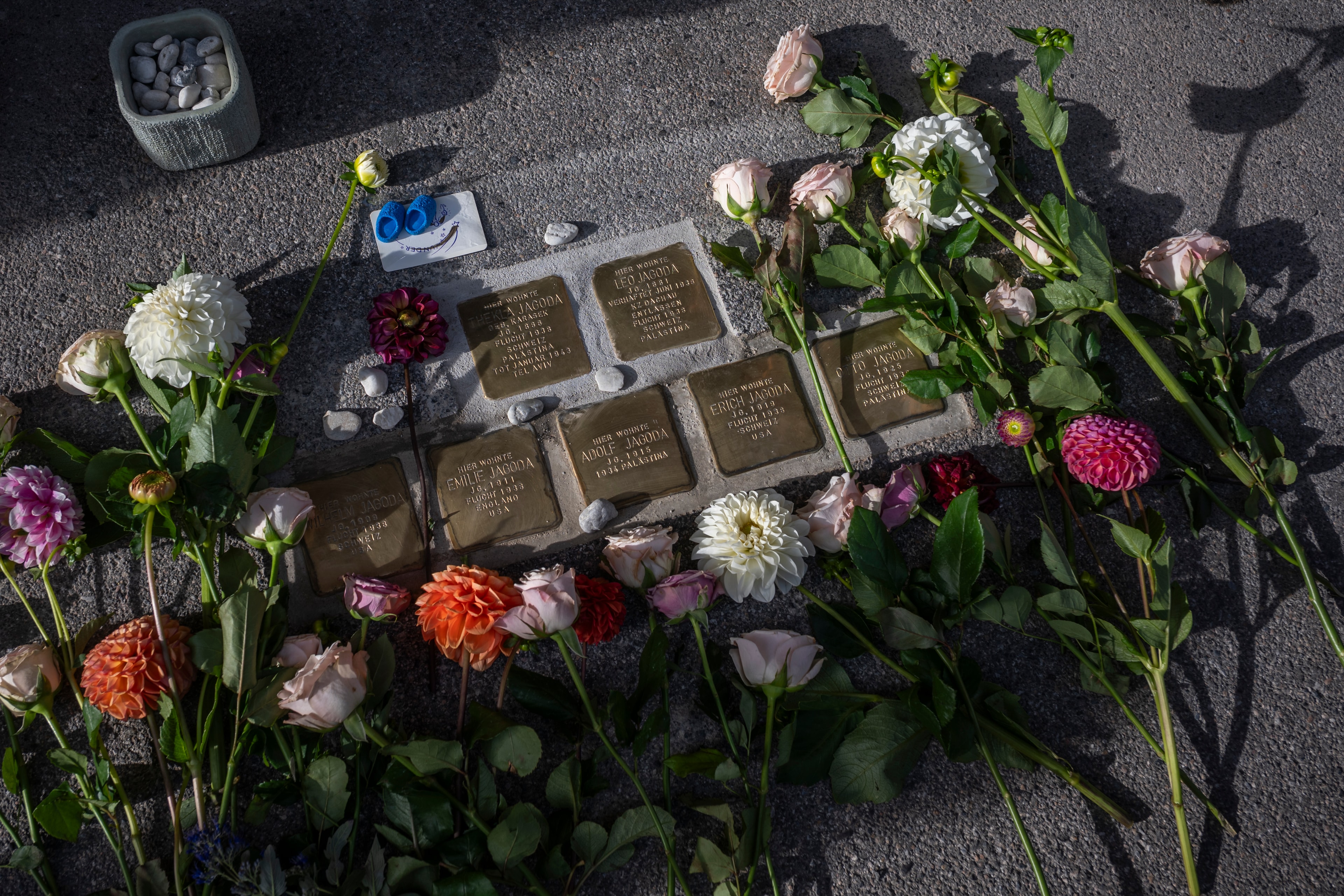 Seven Jagoda family Stumbling Stones surrounded by flowers