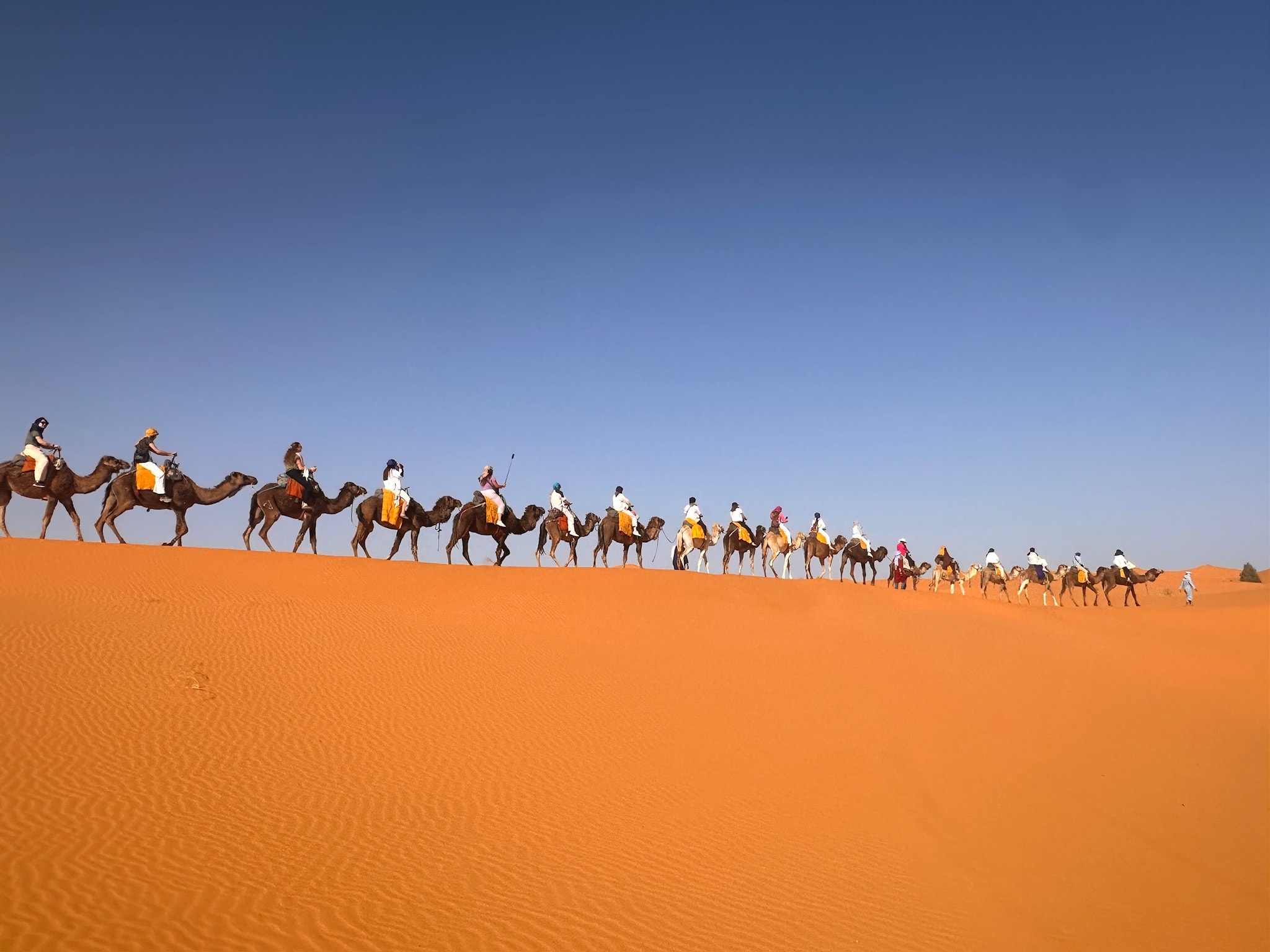 Morocco: The Trip That Didn't End When I Came Home