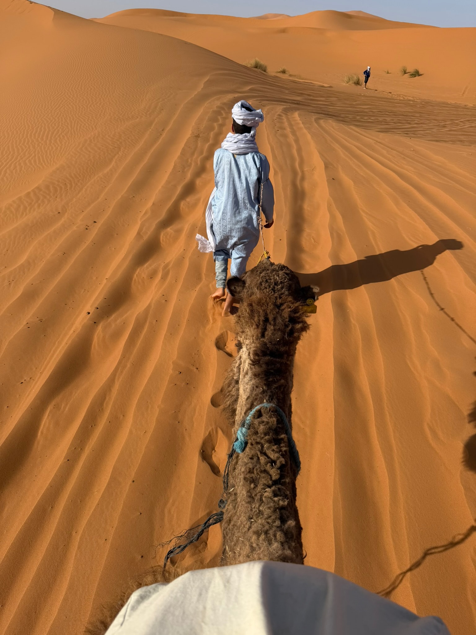 POV from atop a camel looking down the neck toward a Berber guide in a white turban walking ahead across rippled orange Sahara dunes, Merzouga, Morocco