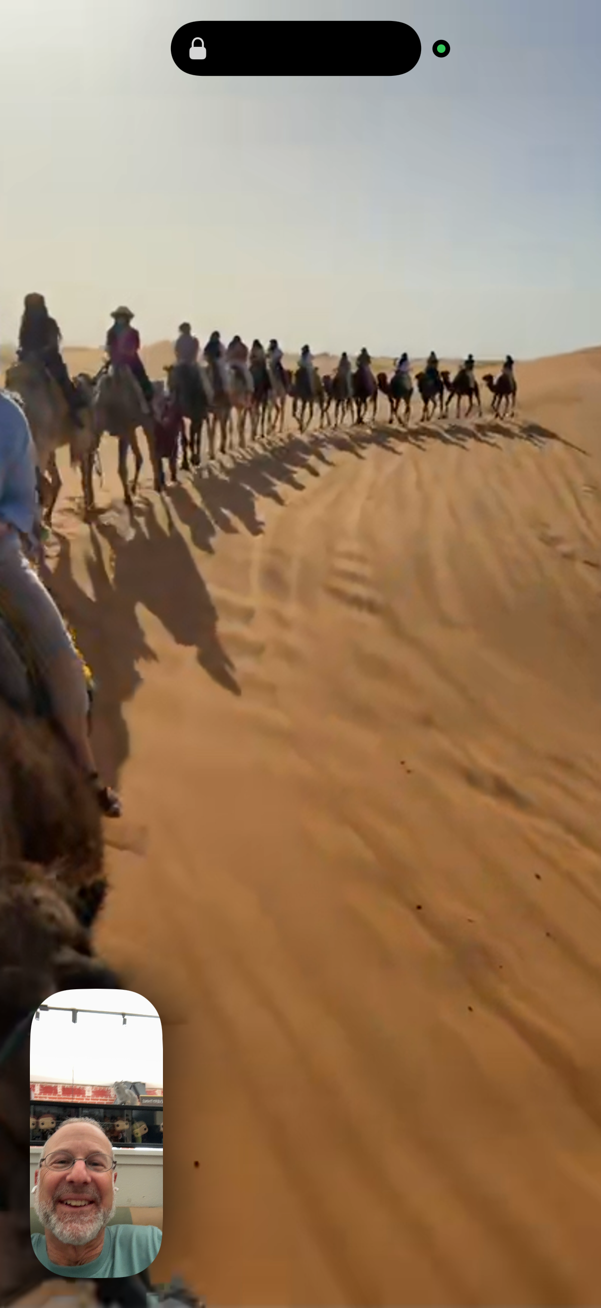 A FaceTime screen capture showing the full line of 16 camels crossing the Sahara dunes, with Steve's smiling face in the corner thumbnail, Morocco