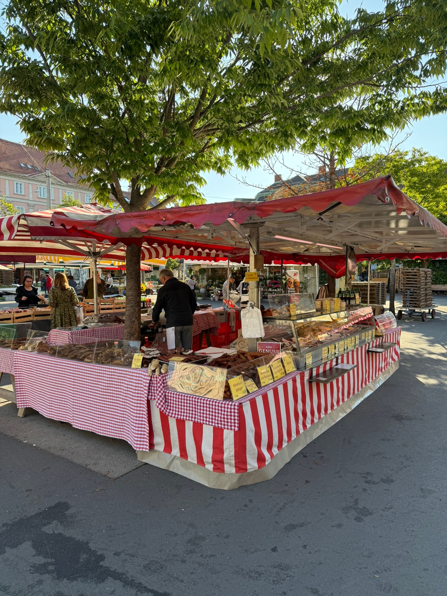 Everyday life at a farmers market in Graz, Austria